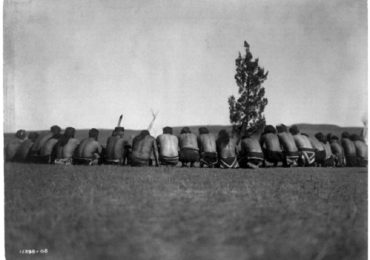 Title: Arikara medicine fraternity--The prayer.
Date Created/Published: c1908 November 19.
Summary: Arikara shamans, without shirts, backs to camera, seated in a semi-circle around a sacred cedar tree, tipis in background.
Photograph by Edward S. Curtis, Curtis (Edward S.) Collection, Library of Congress Prints and Photographs Division Washington, D.C.