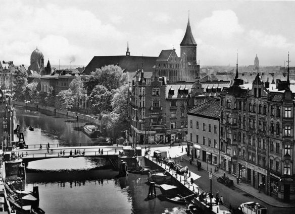 kenigzberg