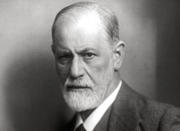 freid