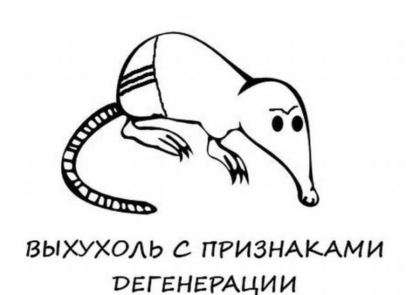 degenerat