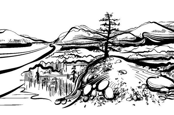taimyr