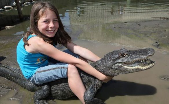 croc