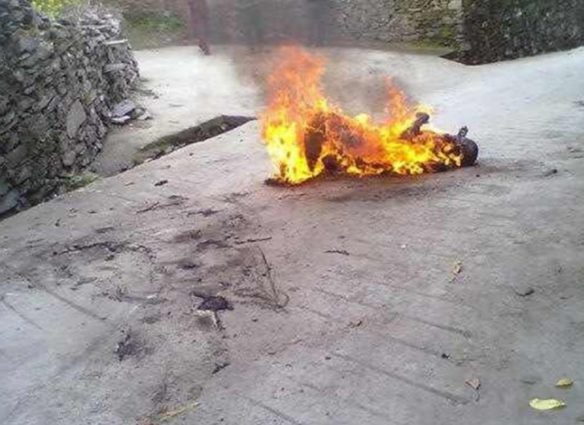 liu_chunling_burned-1