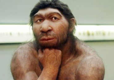 neandertal