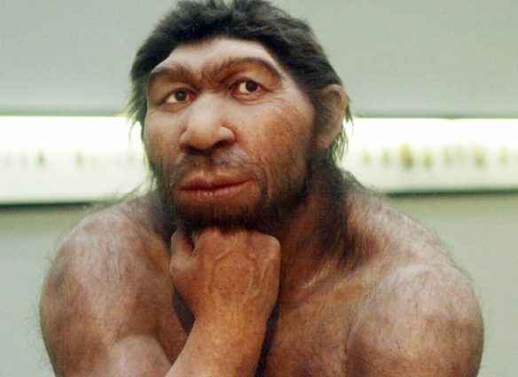 neandertal