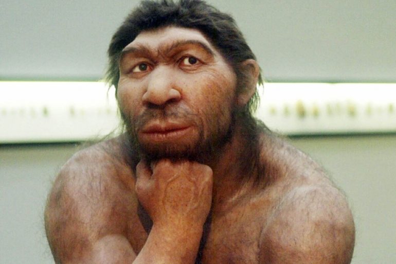 neandertal