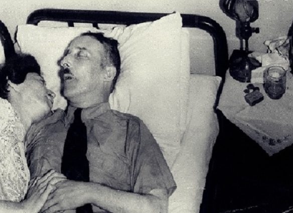 Zweig