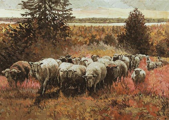 Стадо баранов