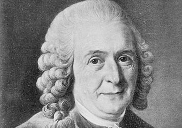 linnaeus