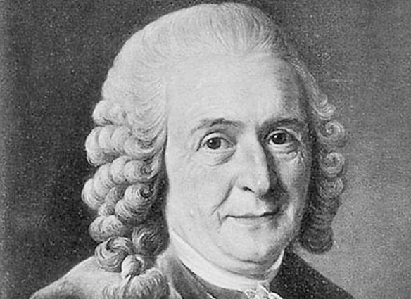 linnaeus