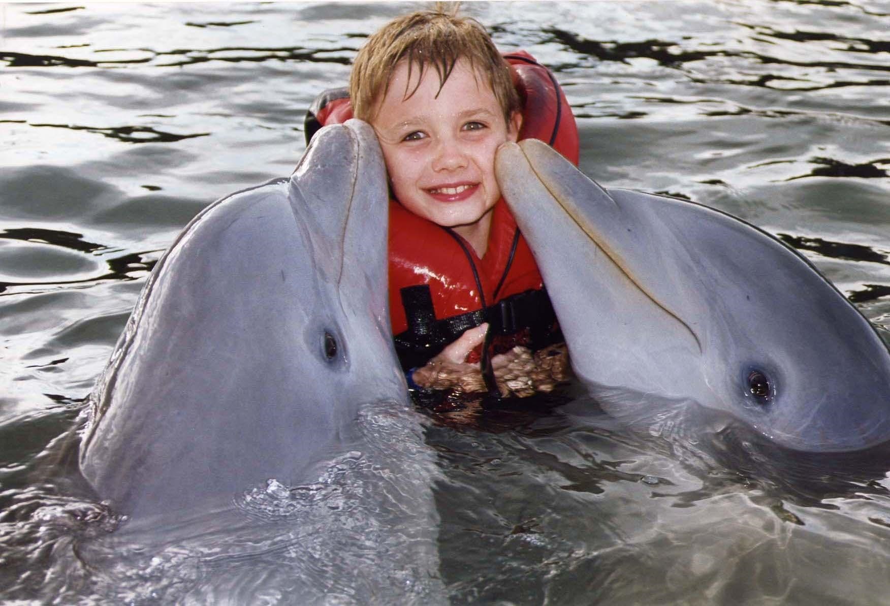Люди дельфины песня. Дельфины и люди. Дельфины для детей. Человек Дельфин. Дельфины фото.