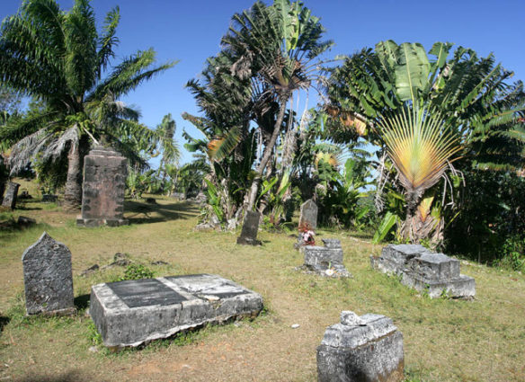 Кладбище в тропиках
