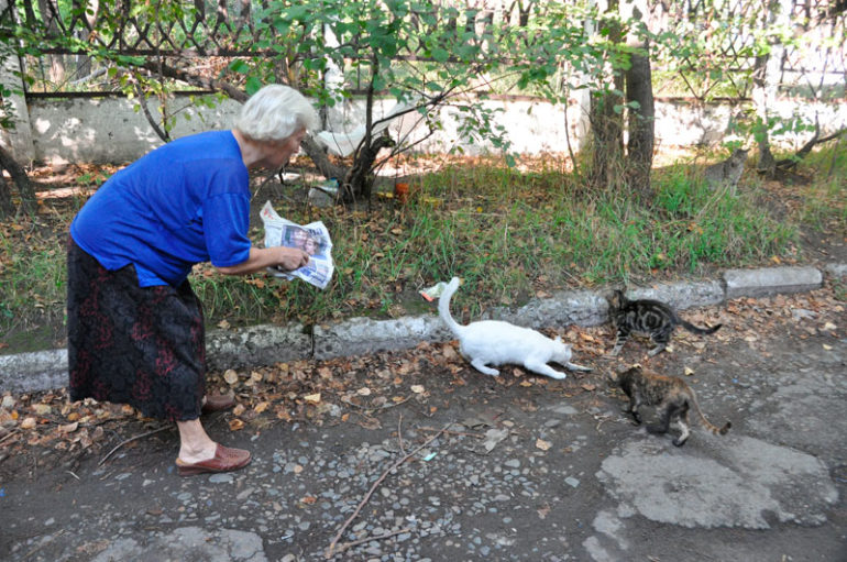 Бабушка и кошки