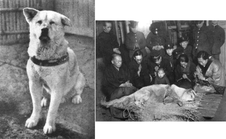 hachiko-last-photo6